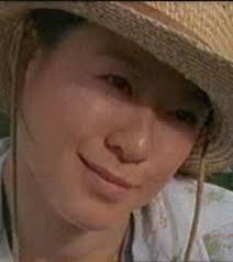 After #HeartbreakHigh , Nina Liu appeared in Wildside, and played the main  role of Dr Annie Young in Something in the Air, alongside Jeremy Lindsay  Taylor. She went