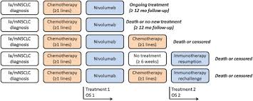 What is advanced lung cancer, what are the symptoms, and what types of treatments work for both these tumors and metastases? Immunotherapy Rechallenge After Nivolumab Treatment In Advanced Non Small Cell Lung Cancer In The Real World Setting A National Data Base Analysis Lung Cancer