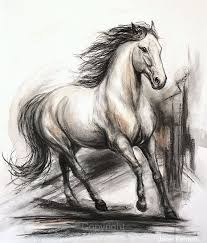 Original Horse Drawing In Charcoal Of Unbridled By Ferrarofineart Dibujo Caballo Lapiz Animales Dibujados A Lapiz Caballos A Lapiz Hay proveedores de 573 dibujos lapiz faciles, principalmente ubicados en east asia. dibujo caballo lapiz