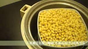 優質蛋白質 超省時自製豆漿 cooking food vegetables