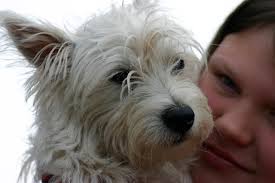 Judy Peachey's Instagram, Twitter & Facebook