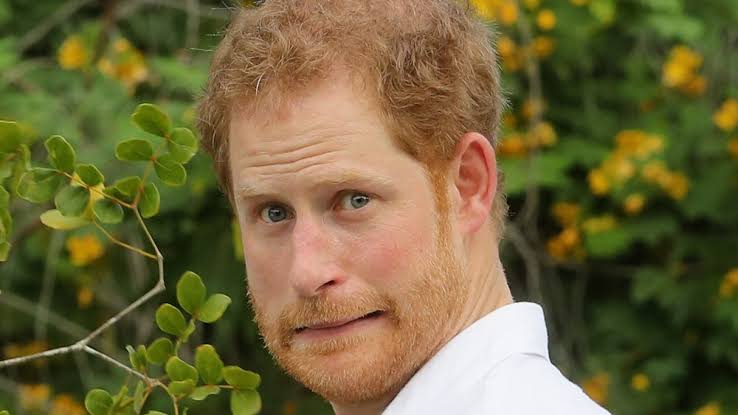 Harry's visible discomfort during the scene only fueled the public's anger., do AI tạo