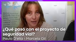 Proyecto de Seguridad Vial