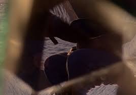 We did not find results for: Beatriz Santiago Munoz Perez Art Museum Miami