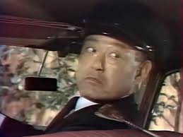 The cast of the episodic characters