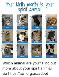 Take this quiz to know your spirit animal. Spirit Animal Quiz What Animal Am I Champion Of Animal Wallpapers