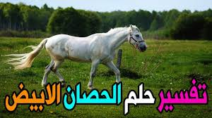 We did not find results for: Ù…Ø®ØªØµ Ø¨Ù…Ø¬Ø§Ù„ Ø¹Ù„Ù…ÙŠ Ø¬Ù†ÙŠÙ† Ù…Ø¹Ø§Ù†Ø§Ø© ØªÙØ³ÙŠØ± Ø­Ù„Ù… Ø§Ù„Ø®ÙŠÙ„ Ø§Ù„Ø§Ø¨ÙŠØ¶ Allseasonsoutdoorkitchens Com