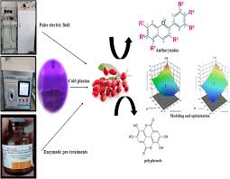 Intensified extraction of anthocyanins from Berberis vulgaris L. by pulsed  electric field, vacuum-cold plasma, and enzymatic pretreatments: modeling  and optimization