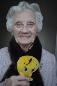 The Greystones Guide