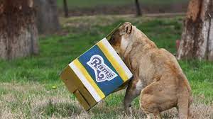 Fresno chaffee zoo map 2021. Fresno Chaffee Zoo Reopens Friday
