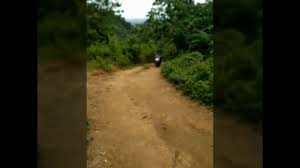 Check spelling or type a new query. Wisata Puncak Pinus Karawang