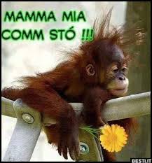 Papà, tu e la mamma vi baciate con la bocca aperta o chiusa? Mamma Besti It Immagini Divertenti Foto Barzellette Video