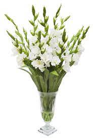 Pin On Fleurs