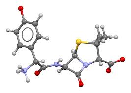 Image result for Amoxicillin