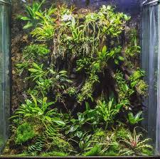 Pin By Erik On Herpetology In 2020 Vivarium Planted Aquarium Orchids