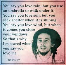  You Say You Love Rain But You Use An Umbrella To Walk Under It You Say You Love Sun Spiritualcleansing Org Love Wisdom Inspirational Quotes Images Inspirational Quotes With
