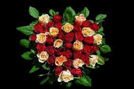 Szukacie życzeń na dzień kobiet 2019? Zyczenia Na Dzien Kobiet Smieszne I Zabawne Zyczenia Sms Na Dzien Kobiet 8 03 2020 Express Bydgoski