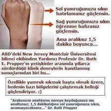 Bitki Alemi Zamazingo Hayata Dair Ipuclari Saglik Bilgi