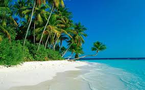 Tropical Beach New Hd Wallpapers Of High Resolution Free Cook Islands Images Beautiful Beaches Most Beautiful Beaches Beach Paradise