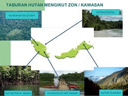 A) sekitar muara sungai perak. Tumbuh Tumbuhan Semula Jadi Dan Hidupan Liar Course Lea