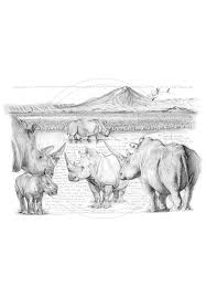 248 H H Big Five White Rhino Marcello Art See more ideas about african wildlife, wildlife art, wildlife. marcello art 248 h h big five white rhino