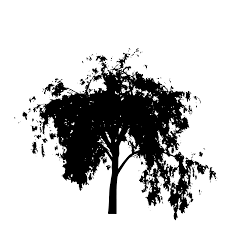 Tapi harus segera selesai karena akhir mei nanti ada jadwal pameran tunggal di singapura. sudah ditunggu lebih lima menit kok tidak ada ledakan? Svg Pokok Cawangan Hutan Gambar Imej Ikon Svg Percuma Svg Silh