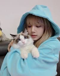 All thanks to their hard work and dedication, all the four members, namely, jisoo, jennie, lisa, and rose have been acing the oomph quotient and hotness bar on many occasions in the past and needless to say, we are in love with them. 8 Times Blackpink S Lisa And Her Cat Were Too Cute In Honor Of Leo S Birthday Kissasian