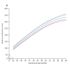 Standard Population Customised Fetal Size Charts 12 Who