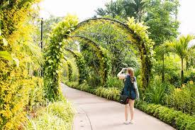 The summer zone with reds and pinks; National Orchid Garden The Home Of Different Species Of Orchids