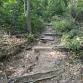 Hiking West Hills County Park with Lee McAllister event in HUNTINGTN STA, NY