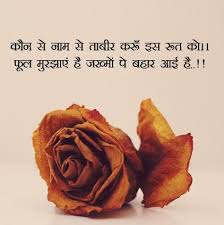 Flowers Dp Images For Whatsapp Status In Hindi English With Quotes Msg In 2020 Flowers Dp Beautiful Flowers Images Flower Photos