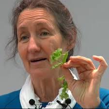 Such great info!. Full article 👇 💬 Keep this 1 plant at home and forget  about spiders, mice, and insects ห ※ PEST CONTROL ผลายปาเร