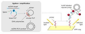 The oscillator circuit is similar to the previous two mentioned. W6fjukbmeb7fzm