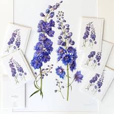 Ingrid Elias Botanical Art On Instagram P R I N T S C A R D S All My Art Prints Are Made In Accordance W Botanical Art Floral Painting Giclee Art Print