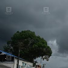 Manorama Online
