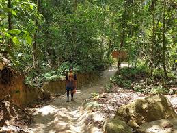 Use the following search parameters to narrow your results www.boobpedia.com/boobs/sensual_jane. Wikiloc Kemensah To Air Terjun Sofea Jane Trail