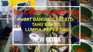Call Wa 62 858 6622 8323 Tahu Bakso Semarang Di Aceh Ikan Air Tawar Air Tawar Tahu