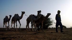 Seul face à la nature : Sahara Overland Travel History Books Tours Morocco Overland