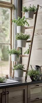 herb shelf kitchen at ikea kitchen shelf kitchen decor apartment kitchen window design kitchen plants