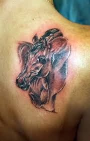 The tattoo of horses as an image is in fact a compliment to a. Funny Horse Tattoo Designs For Men Png Tattoos On Body