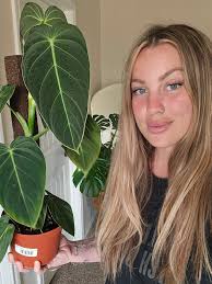 Plant special interest