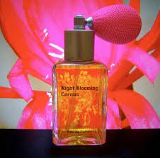 The moths and bats can smell the fragrance from far away. Night Blooming Cereus Paragon Perfumes Perfume A Fragrance For Women 2013