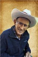 Merle Janzen Obituary (1931