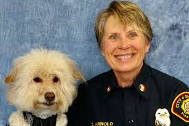 Fundraiser by DANA Collins : Help Debi Arnold Battle Breast Cancer