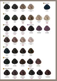 Alfaparf Milano Usa Evolution Of The Color Color Chart In