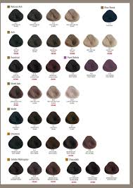 alfaparf milano usa evolution of the color color chart in