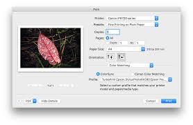 Canon pixma ip8700 treiber drucker download für windows 10, windows 8.1, windows 8, windows 7 und mac. Printing Looks Horrible Affinity On Desktop Questions Mac And Windows Affinity Forum
