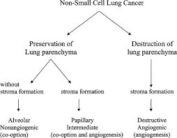 In zoology it is the name for the tissue that fills the interior of flatworms. Different Growth Patterns Of Non Small Cell Lung Cancer Represent Distinct Biologic Subtypes The Annals Of Thoracic Surgery