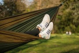 Manchmal ist auch nur ein einzelner busch betroffen. dafür seien aber selbst gärten „größte gefahr für zecken ist hitze, sagt ute mackenstedt. Zecken Im Garten Bekampfen Nachgeharkt