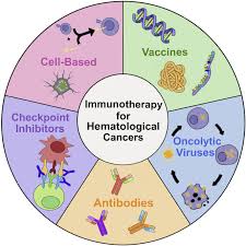 Image result for Hematologic Cancer